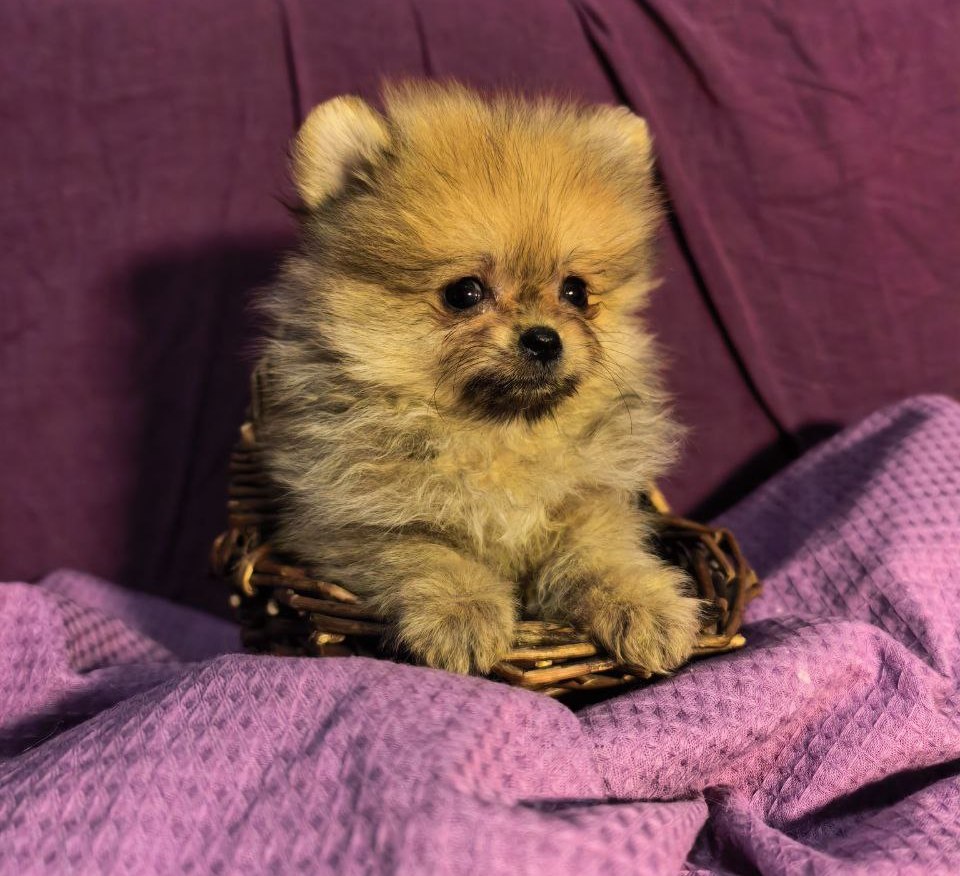 photo_5411469346707542427_y