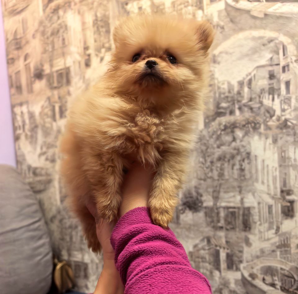 photo_5411469346707542454_y