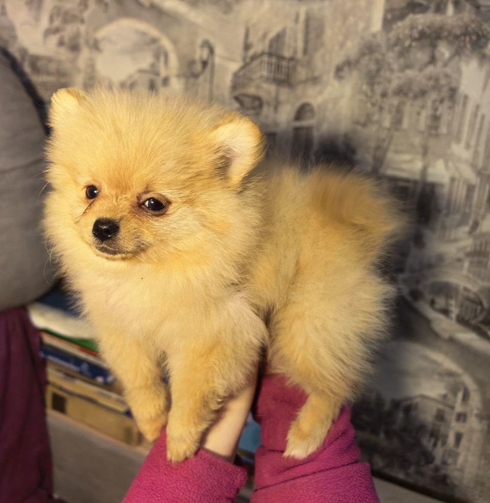 photo_5411469346707542455_y