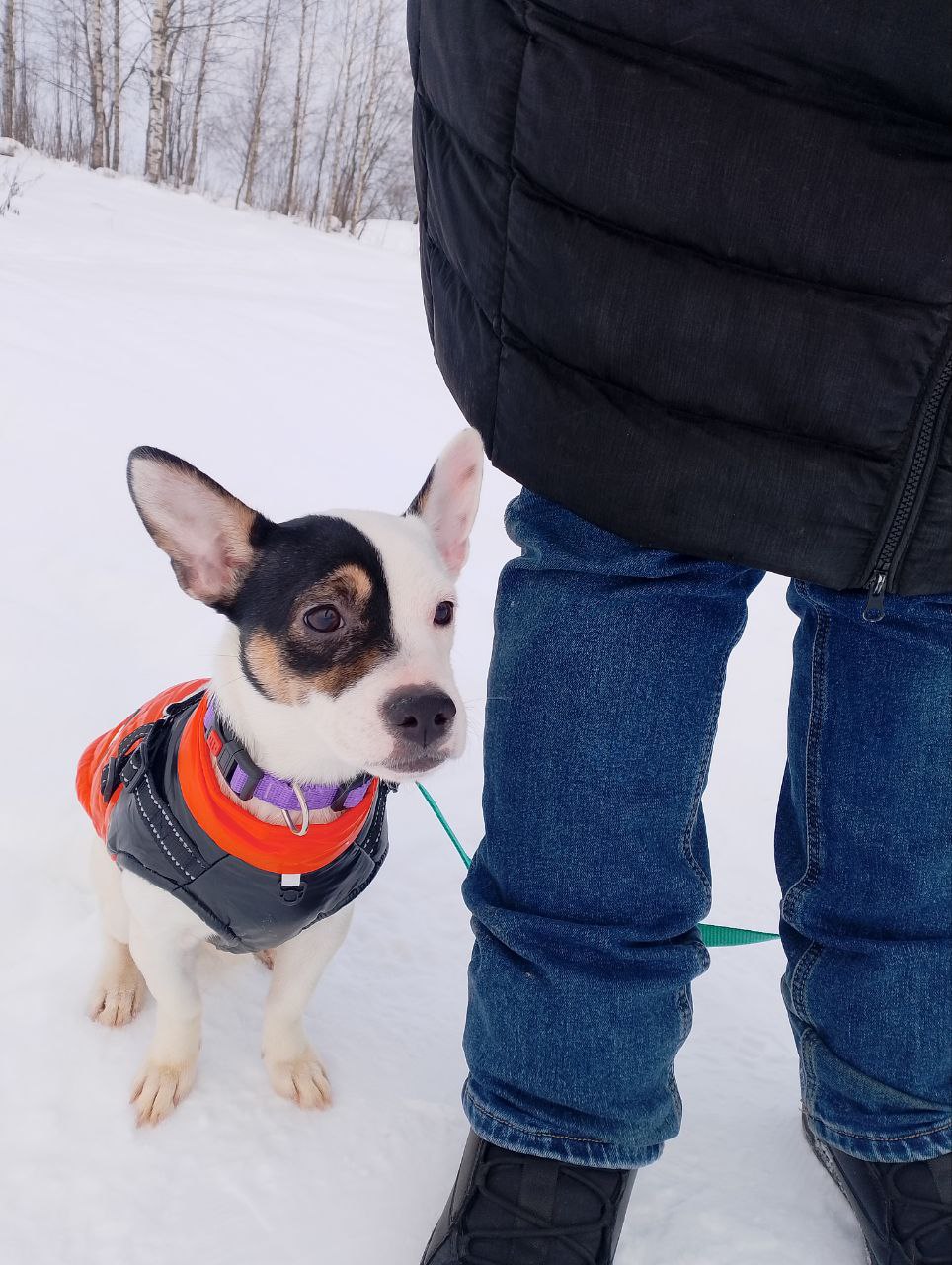 photo_5420584757663305329_y