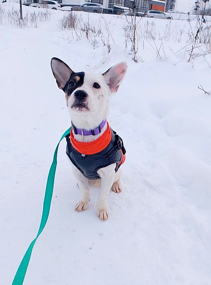 photo_5420584757663305336_y