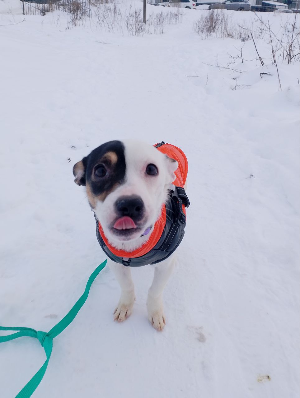 photo_5420584757663305337_y-1