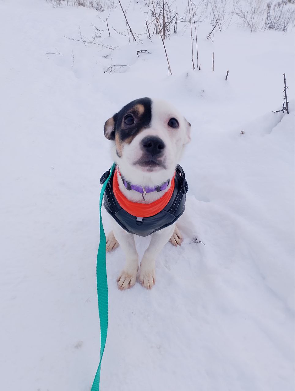 photo_5420584757663305338_y