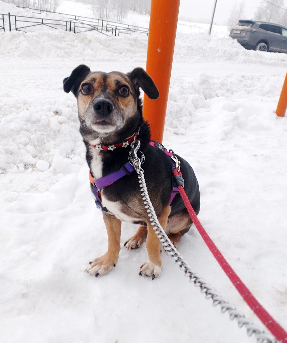 photo_5438141858119880880_y