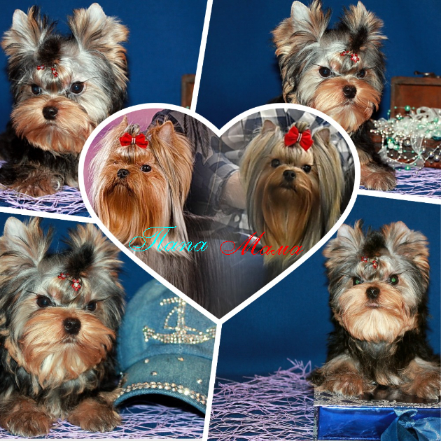 quote-2026-01-17-d774f43f64bb368e91e0ab7674eb9bd4