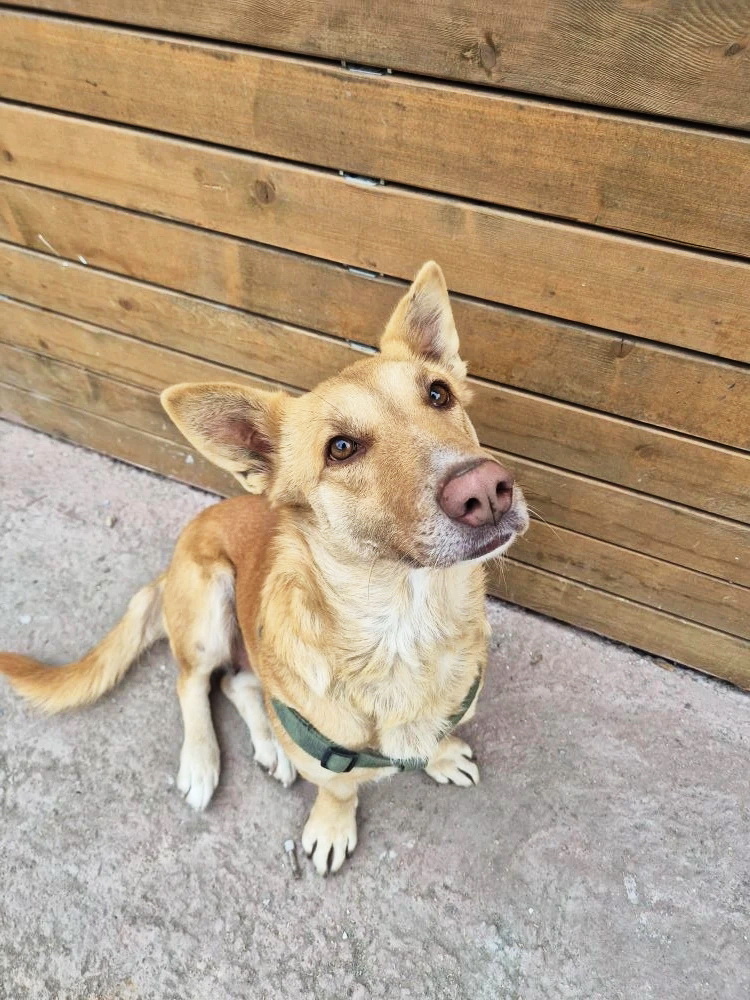 rgwhdvUoNmkQ6_u8c7VMIjjzHZyww2tCc3Ar1hbtSucsko9SVO2Ii2y4YTarZvIccUsuIK2bYLlQFA5Ur-J_UBVw