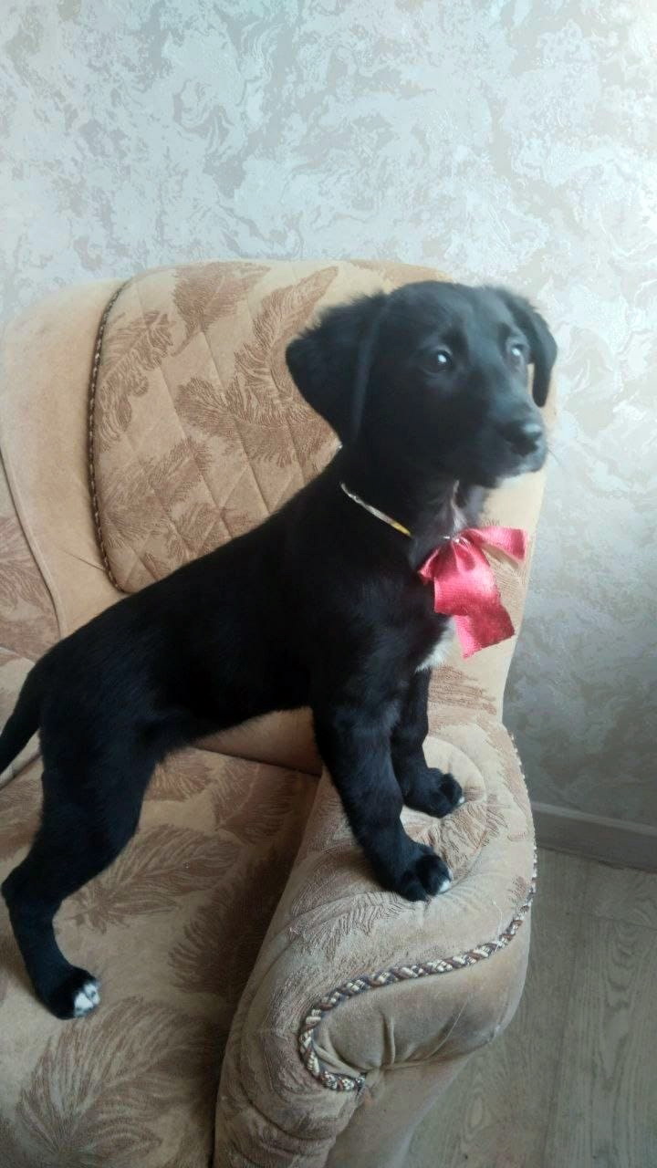 umU6FZnTjM12zZsBqt3AWBGtMT0iDtZtS_VTG6jB7PxiMpASCwnEOCLvGb2Sg9VQI_9ArXTWQXoq72i42oRwHkof