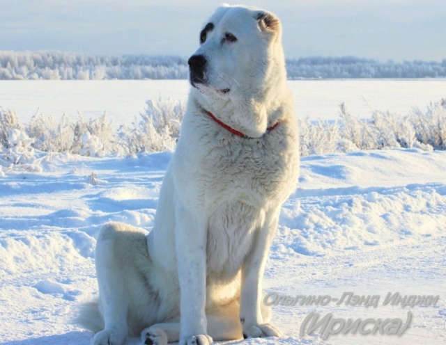 vzyDIO6KIJre4ByKG8chBcEIw3A1truMzVA9DZZaGhxJpBHR-QdtlR9bWZzedR85lZAbzw8BN8HRJHzn1_PrUIP7