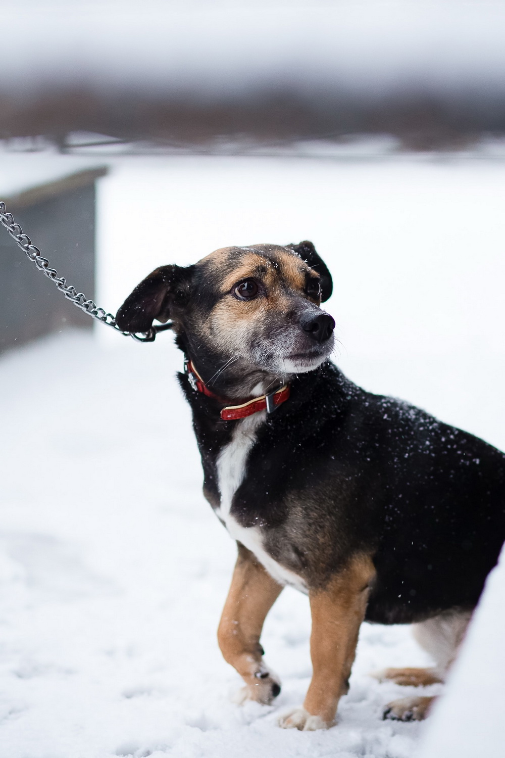 woumvBTOfRFHhpCq2nzxO07QceJiPR_HIl1Y9gLoosNrr6QHk5gsbsSWQbx4gBwAGA4mKlEypWG3dDaxzQHuH6yQ