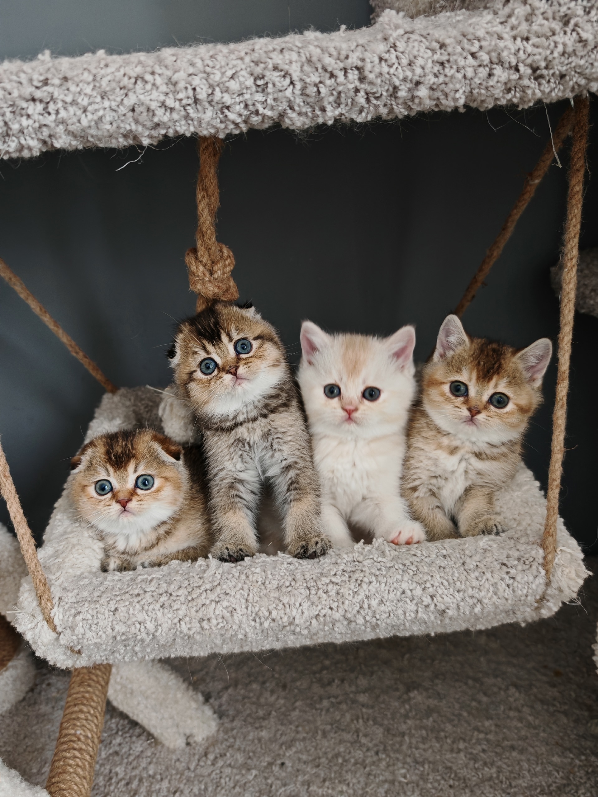 xG5ErLTAlE99Rnf6-8WVRU5U8j3QQ1qmCli5rlnRi2IUcoWIHtSggRSGxJqCm_jkdpv2Q3o8ksYxo5bE-HBfXm9l-1