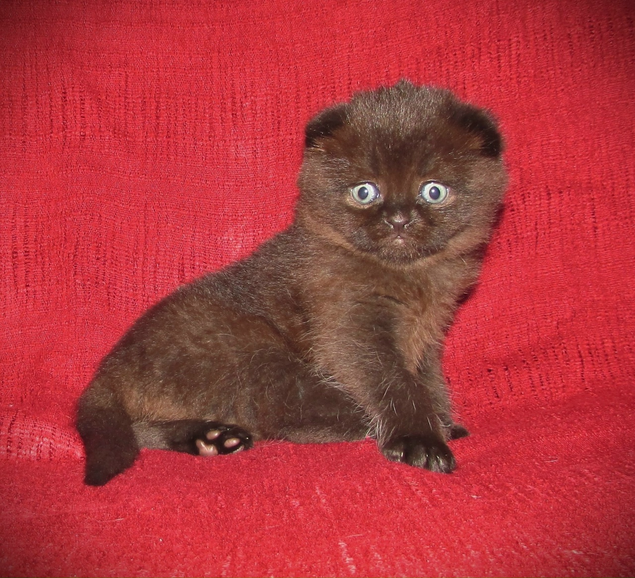 yIM1WeYj2k3ZWbkkq6l1W6LwQWVgf319FUT8oUnkSeWi8qdnl-OmEH3RiQ8KHmK2hykgPxvkPasnXwjN0UM0rpLd