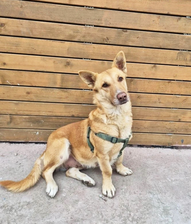 yKjUFIPqX2xSwBjT1k7bBGBizWgoozQEl85WtuIu660SLoOZ5VLV9HqjkoCgorHC39luuROrtypPcfZTY_YnWwVg