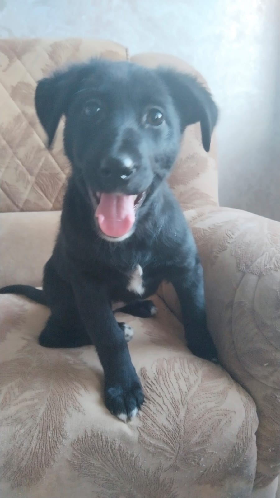 yVUInbZ_J-K553P3IBy7fGrBos4JnFcuMnZijeHG-aCB87MIjqSjOUjAfz5Nu41OF5G1atLUY_e_mPrwsiuJjuMP