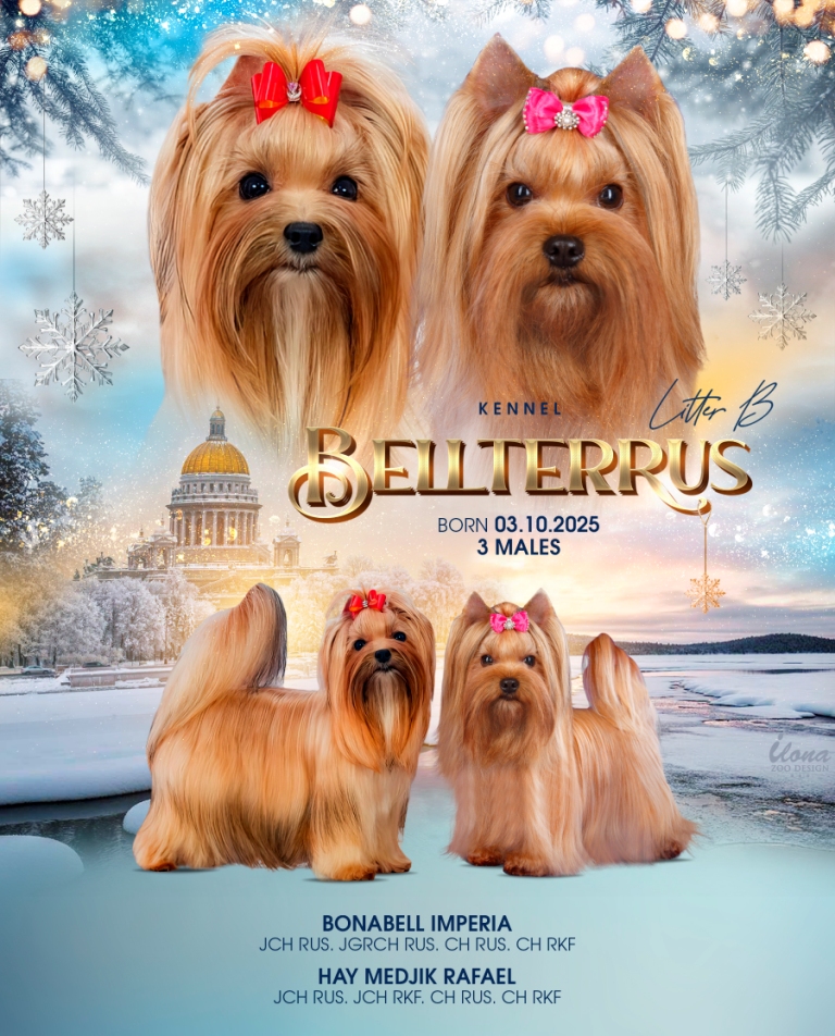 -Белозерова