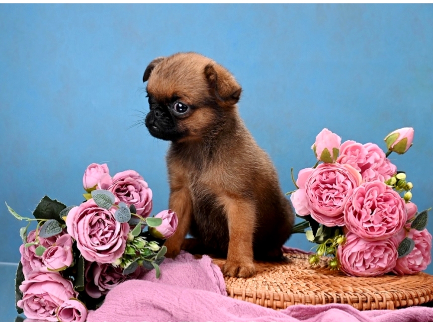 1766073752174.Screenshot_20251218-155434@1917769721-1