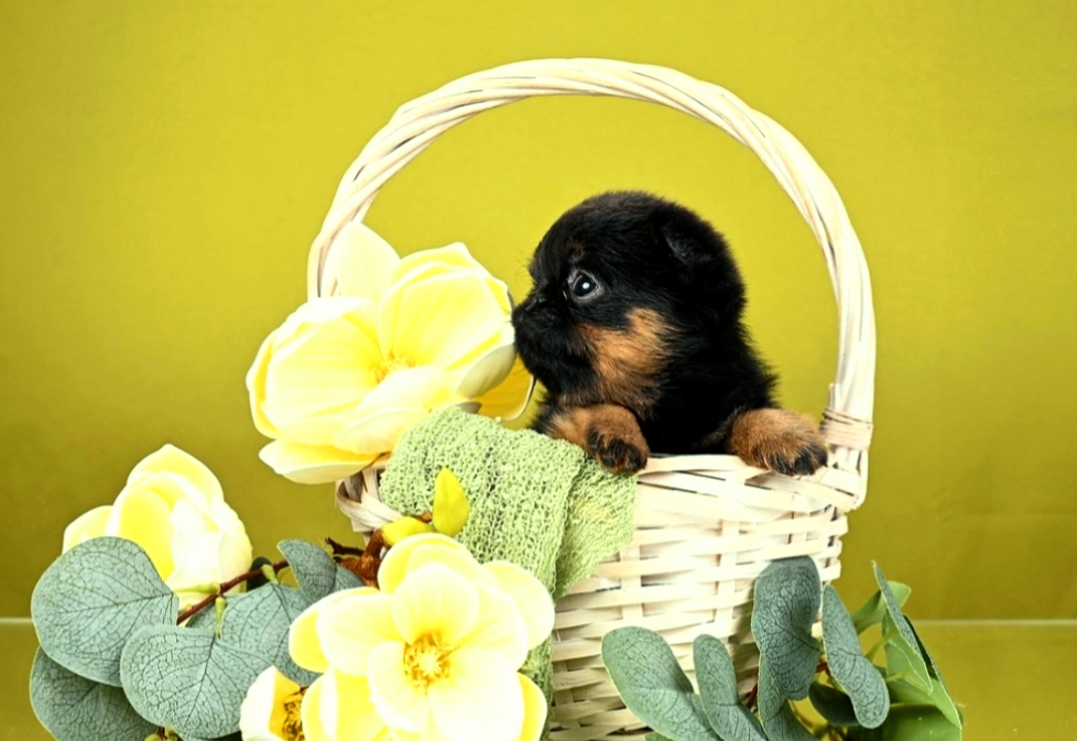 1767699162091.1767697459397.Screenshot_20260105-142723@-211023715