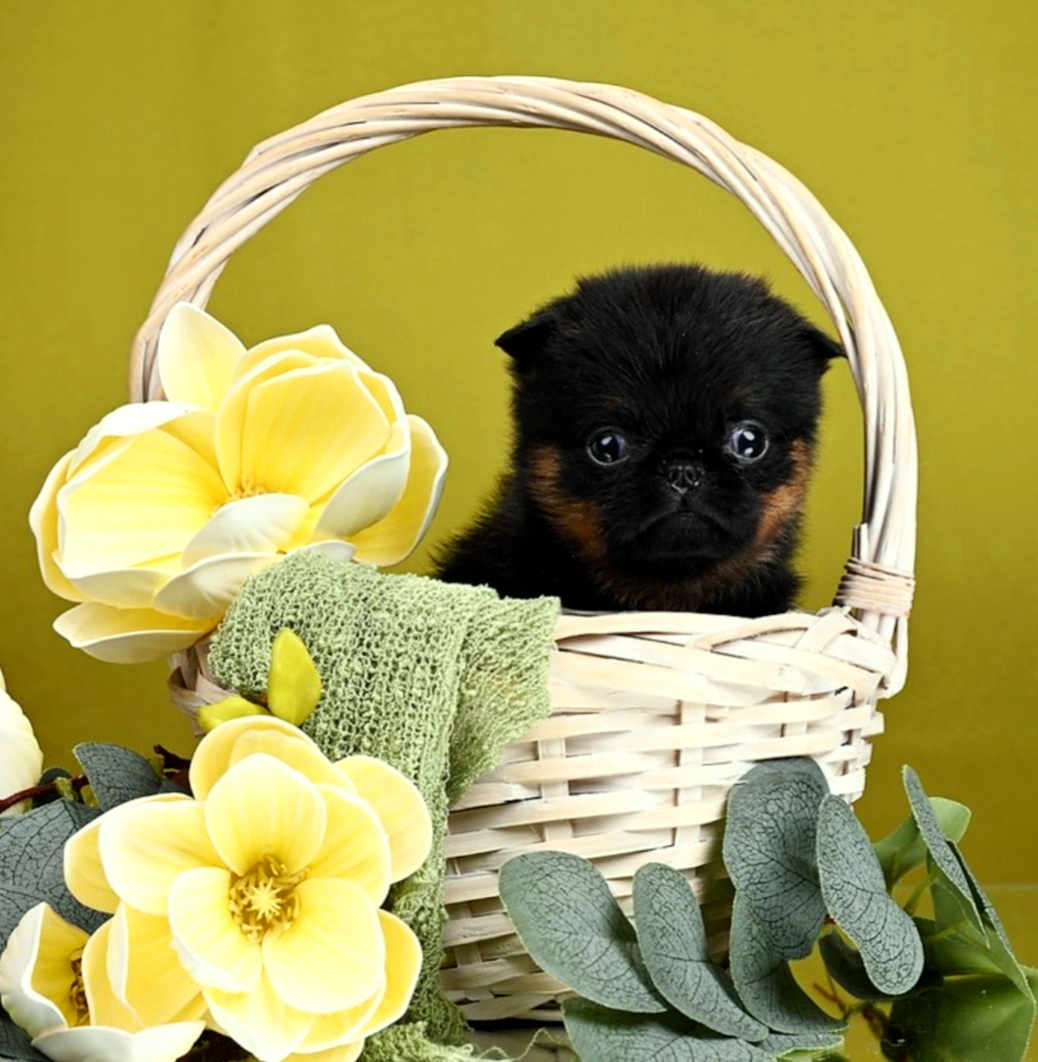 1767699358814.1767697535190.Screenshot_20260105-142754@912162201