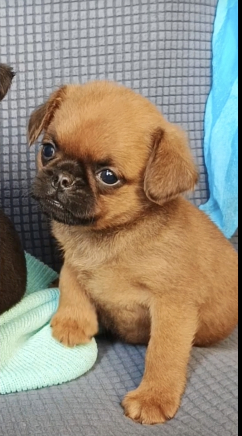 1770291781205.Screenshot_20260205-143623@2080089610