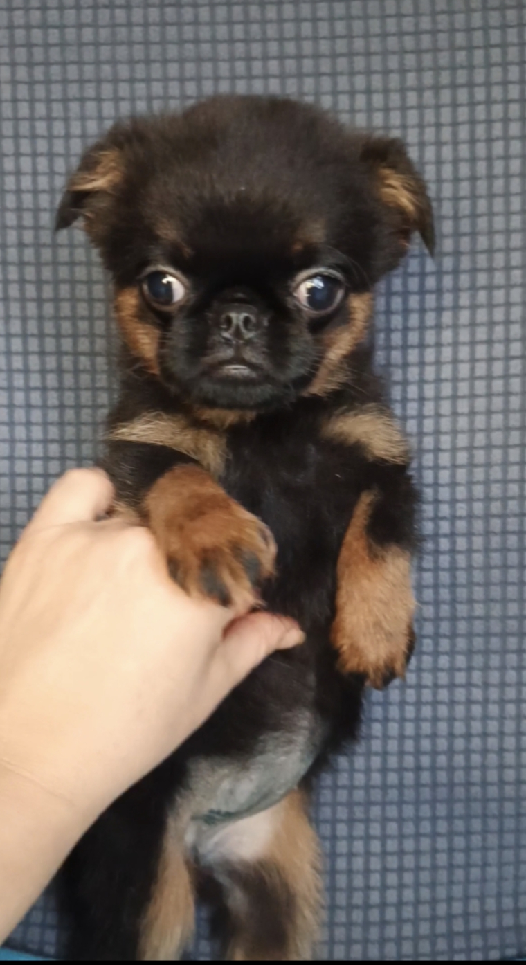 1771149003537.Screenshot_20260215-124640@-477059815