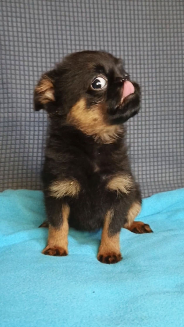 1771909584441.Screenshot_20260224-075530@-61825030-1