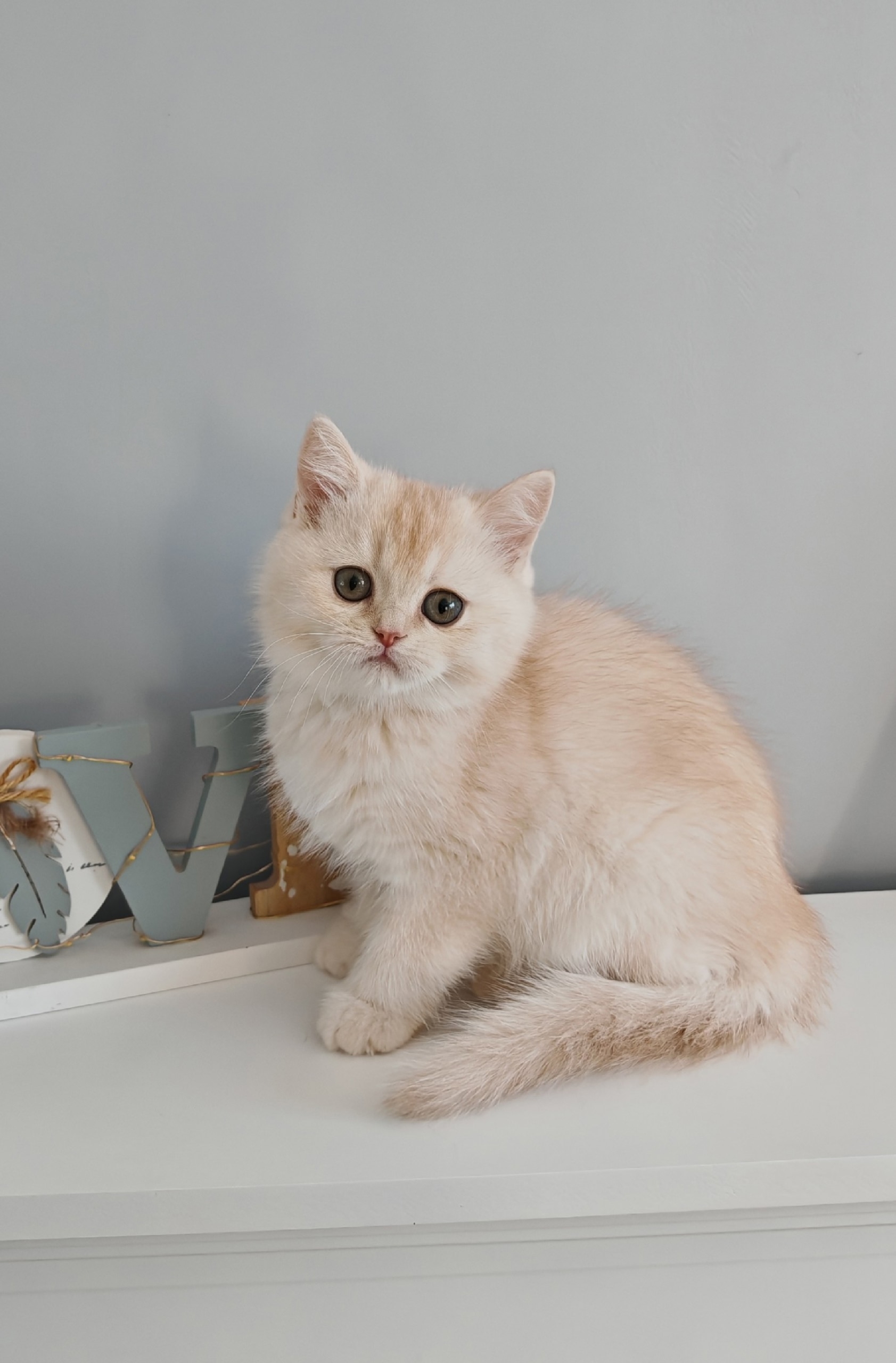 4pxzDh4UlPJR-z-dcuhXLiNUutzNUNBAXqBkzjTbkICo6xcehqMKrv3EOpj8DqjHQ7zB1T5qe_D45tfbvx-EMZ_