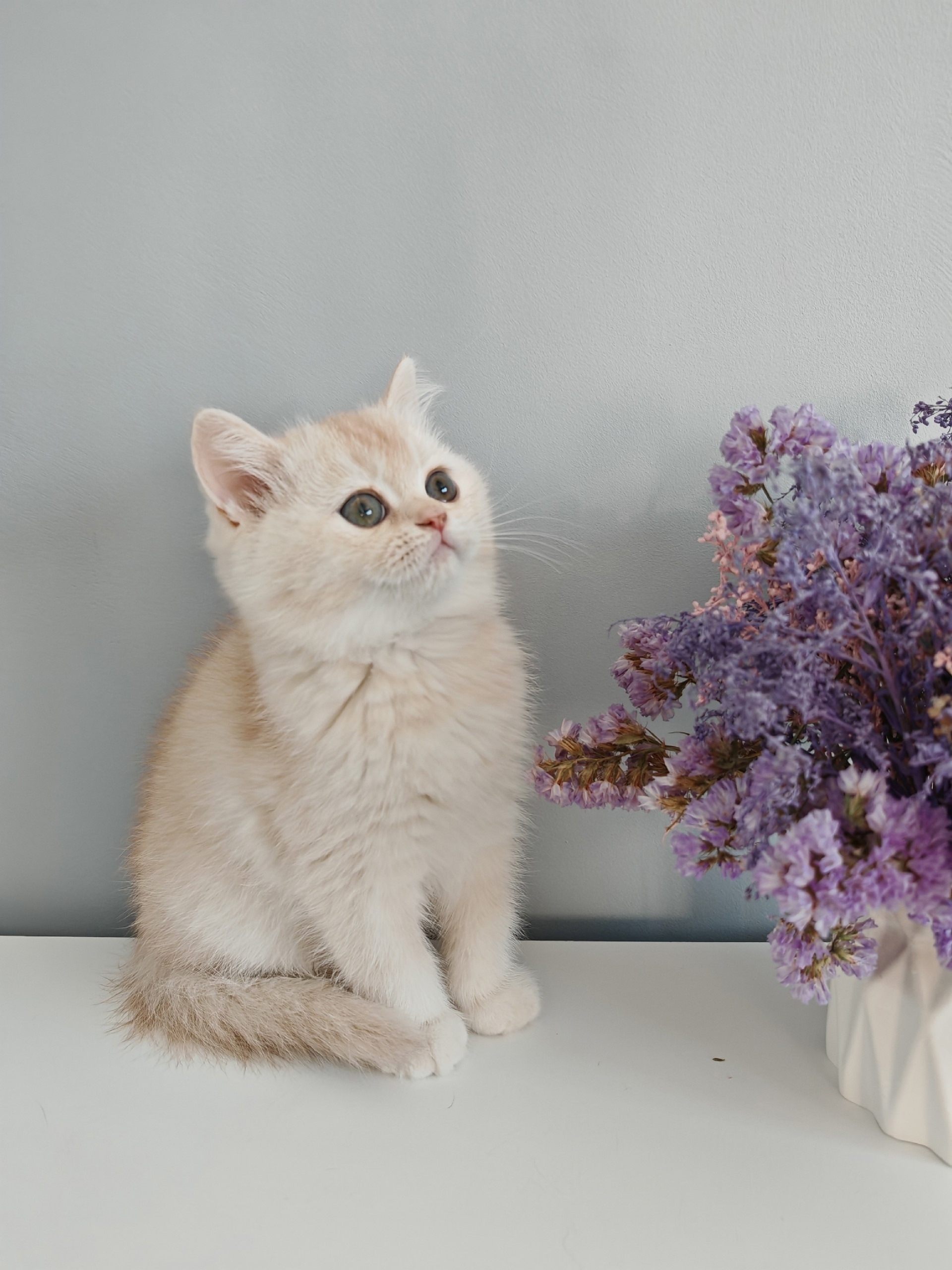 9nRnF3DuvmHWuio0MKRRMQgLtcIOrZ9_yXcFQznI8SLVEYNHf4anFL5_JqAm2fKv6iw5rZnGuglmG-bQXSZ0VG8E