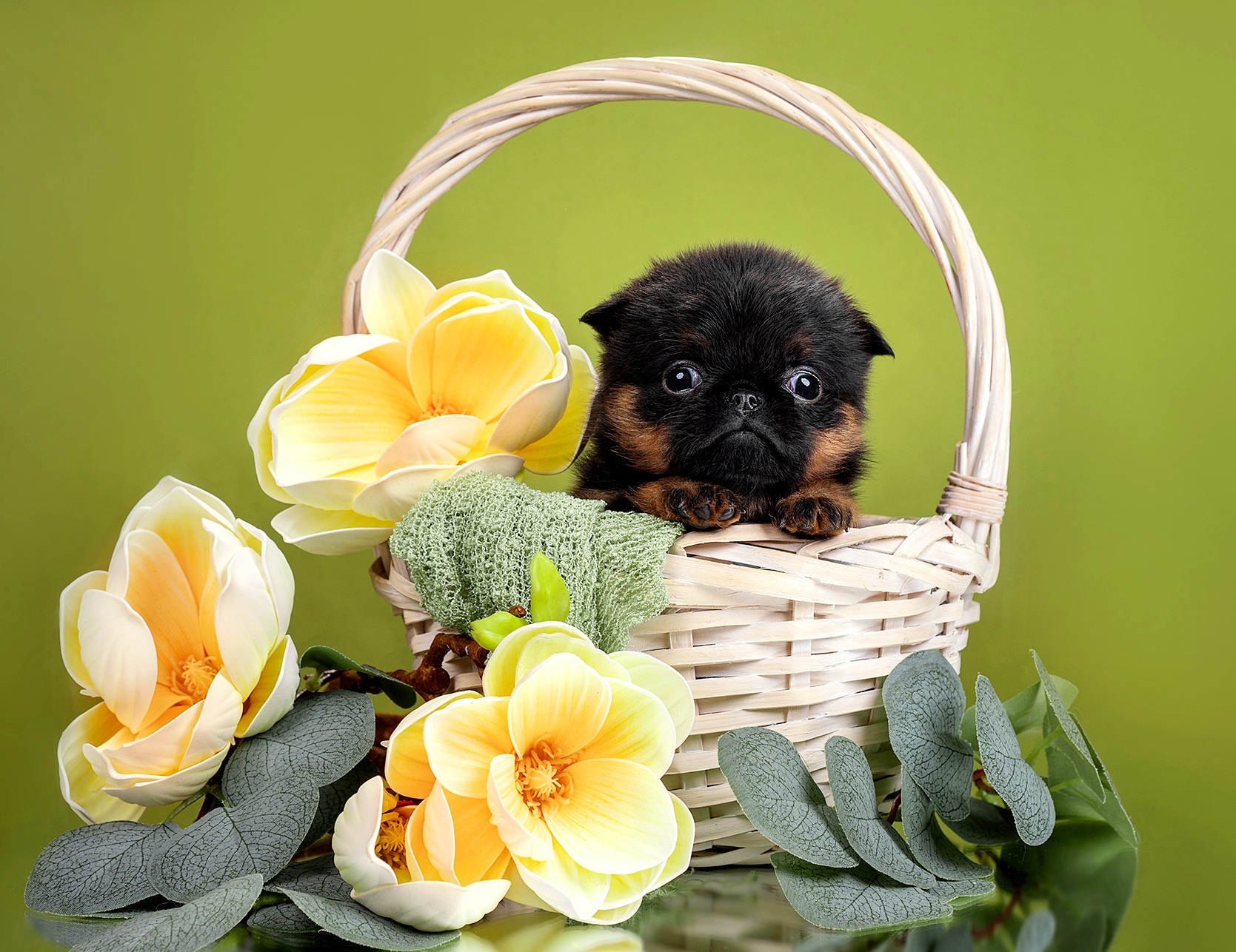 9shHPWLCJy-t3npFg3V77HFuYGgdN_sJ