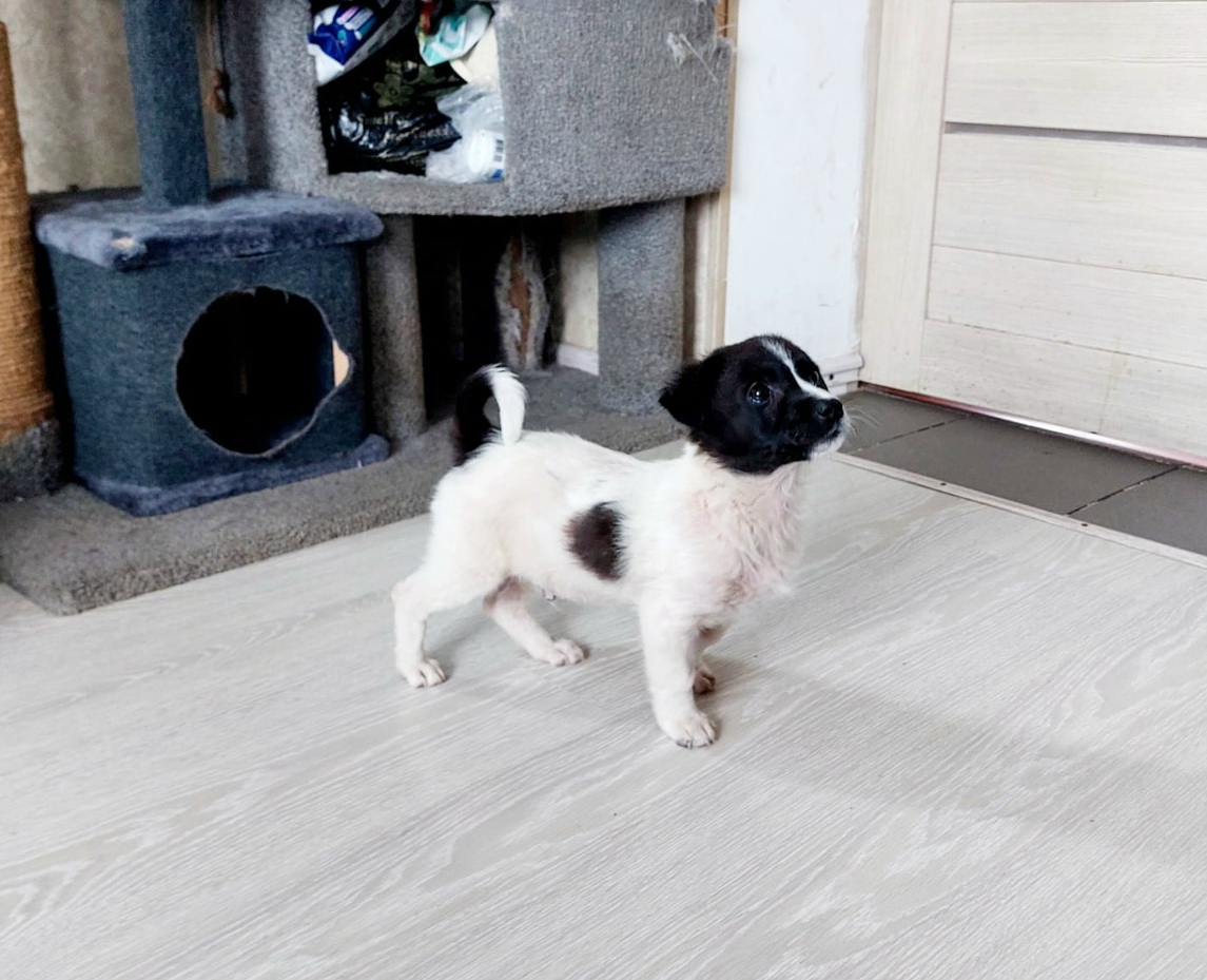 AJeRchcZKAuUHlehhw-dbgoAH6Vc-dMTm3x5Yv_MZdQeQG83a9O9iuOQQAl7CGxYAt4FsJLzmEkSbgU4JoLoPX3Y