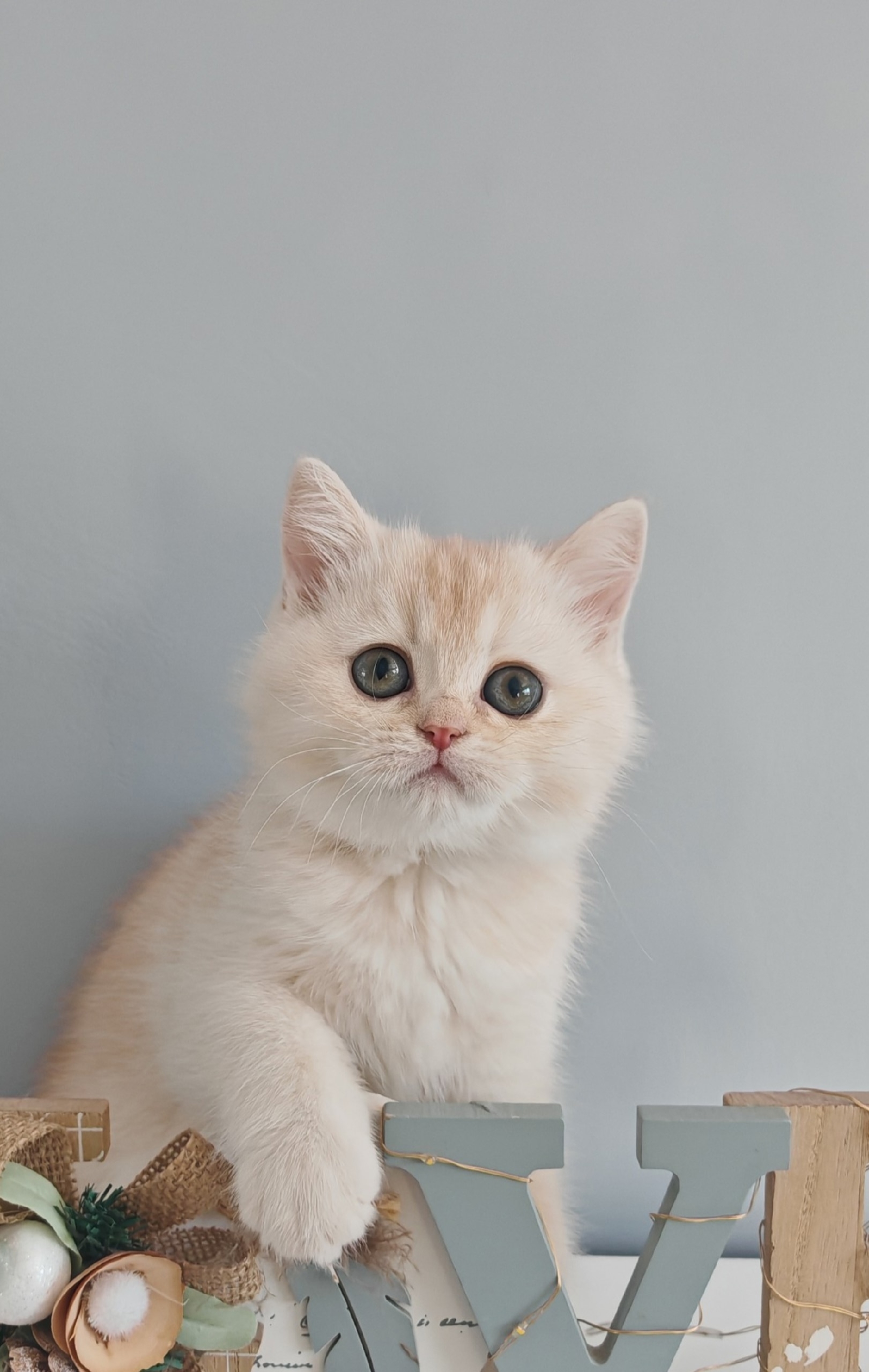 BB2RiL-j3C-mA36GuhqsXFfko3qxAMU37MkVOdhOi7raNtt3Mb5YfY_tZ4wY-o3wnj6rdhbh92aDYP1MKLfP5Jur