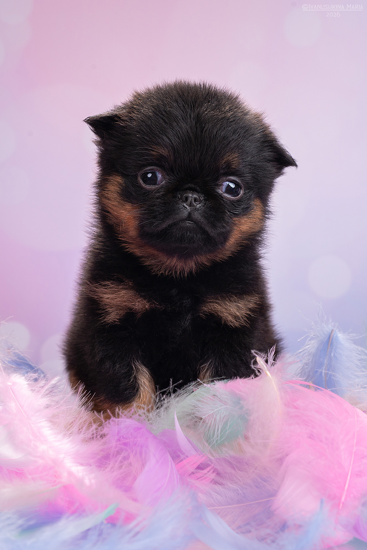 CWnY7j9bqj03bpHP7fY_GU6Q_MyDBi53