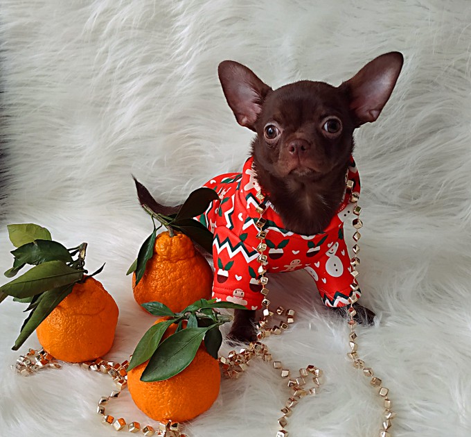 IMG_20260124_141950_обработано