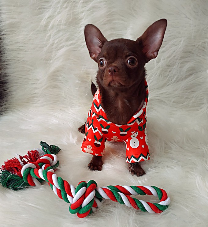 IMG_20260124_142231_обработано