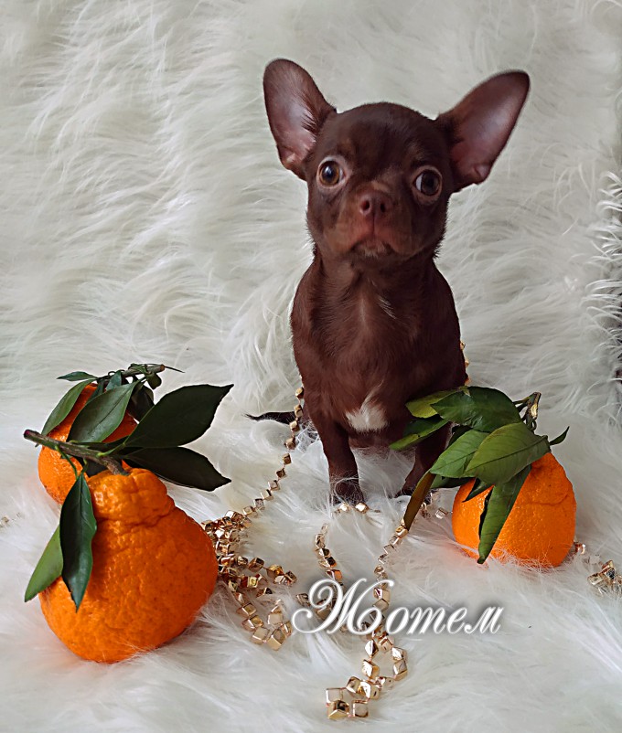 IMG_20260124_143203_обработано