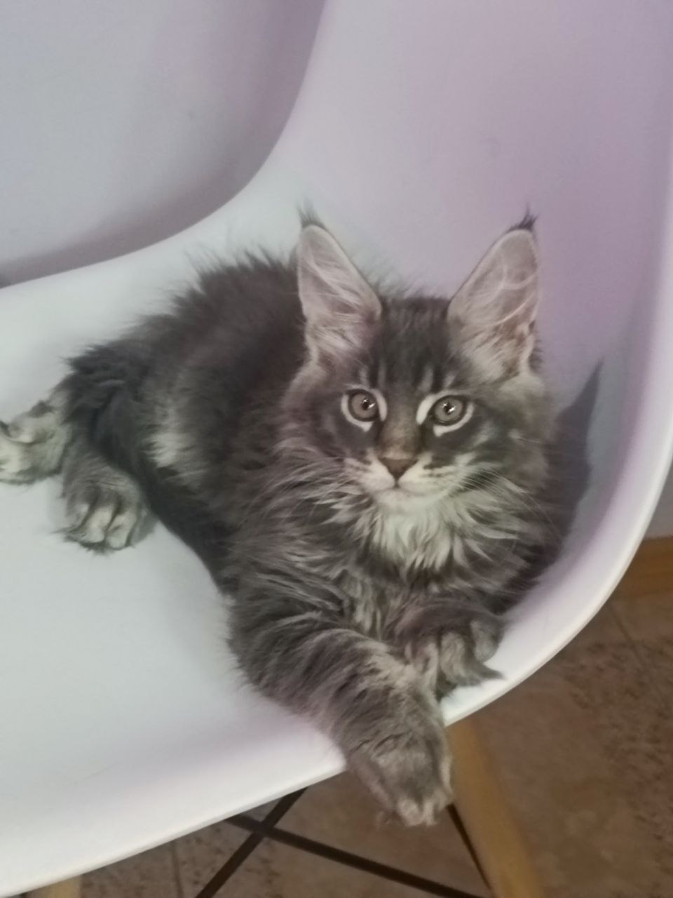 IMG_20260124_173238_704