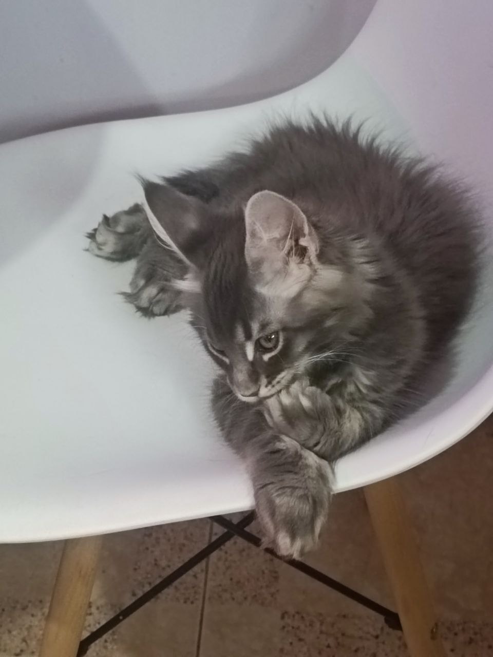 IMG_20260124_173238_766