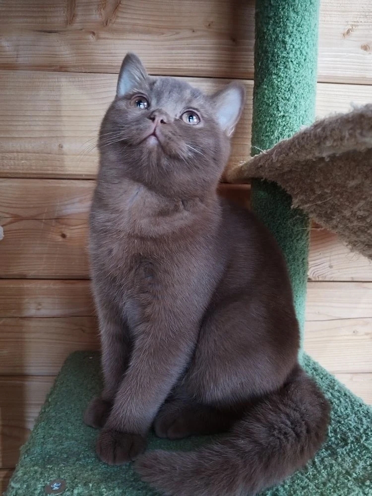 IMG_20260206_141711_493