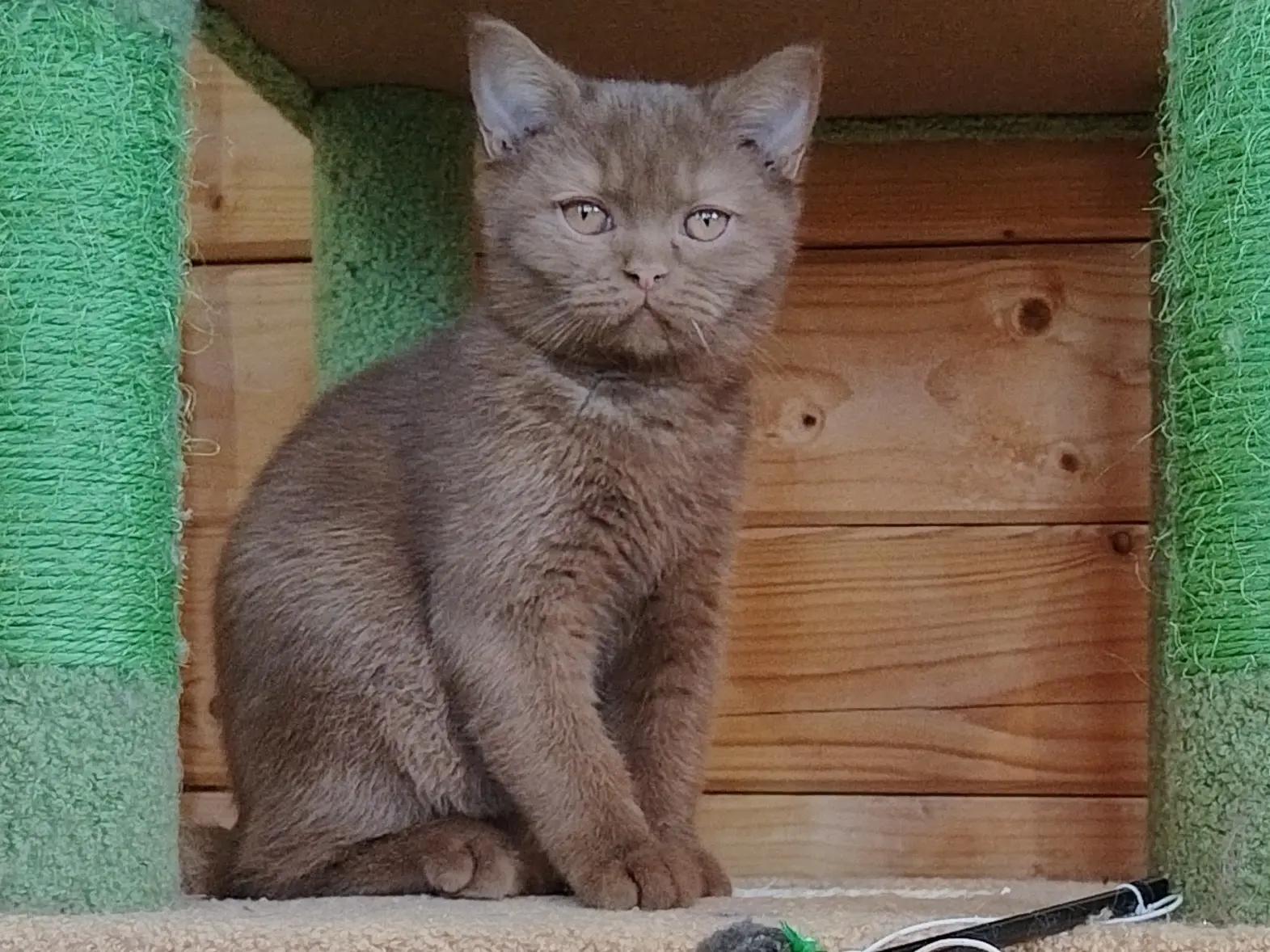 IMG_20260206_141719_948