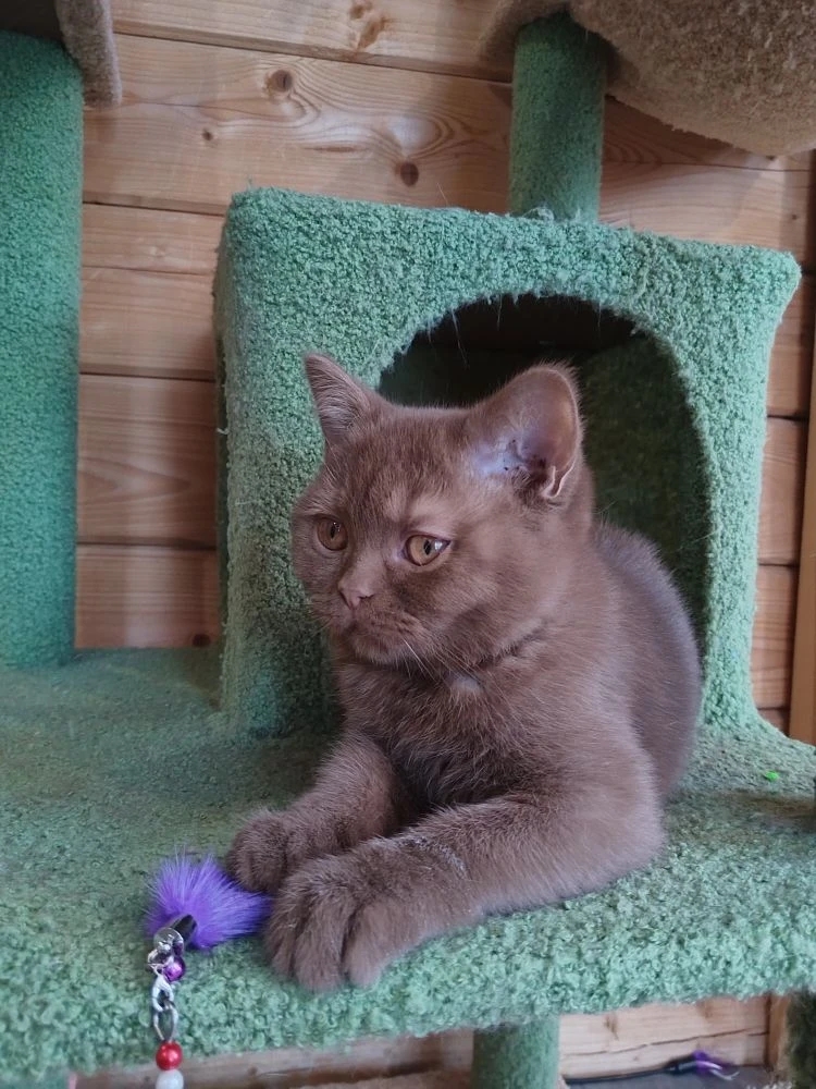 IMG_20260206_141722_242