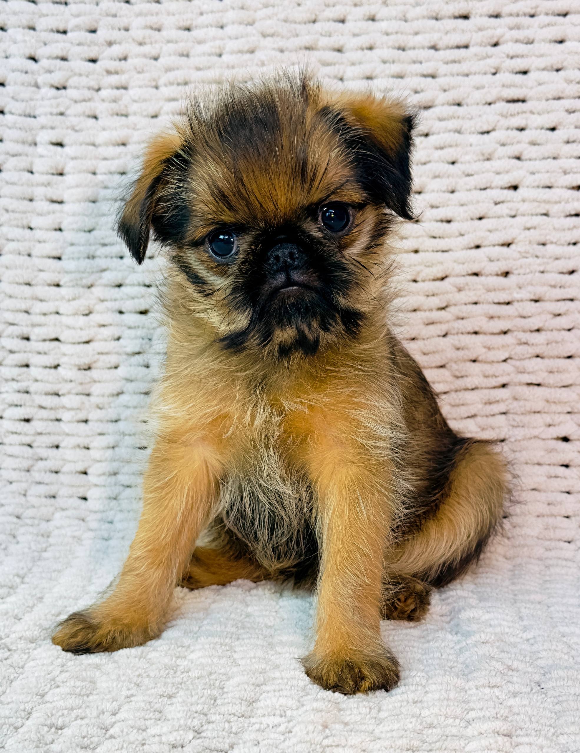 IMG_20260212_152230_166