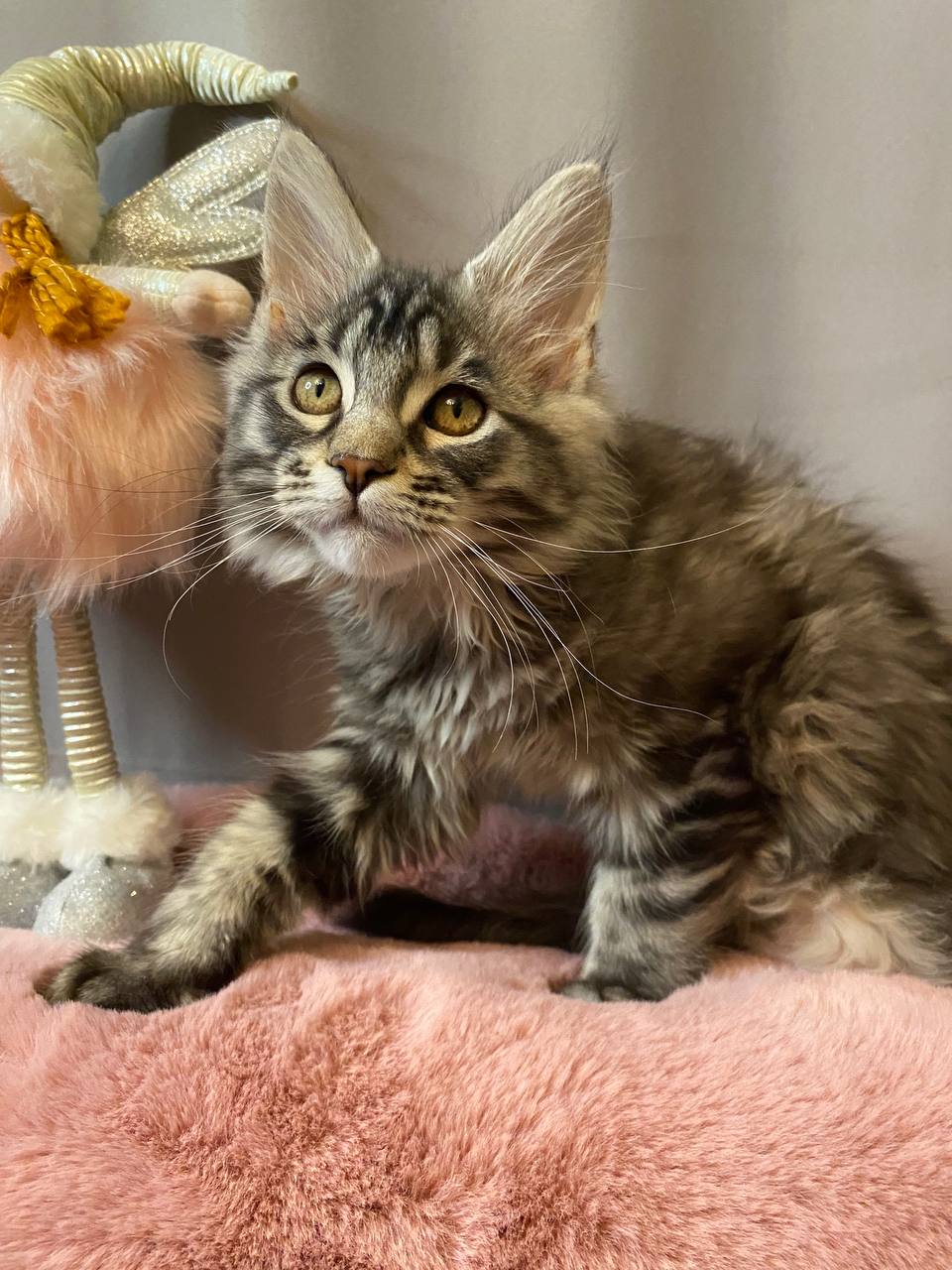 IMG_20260215_122813_057-1