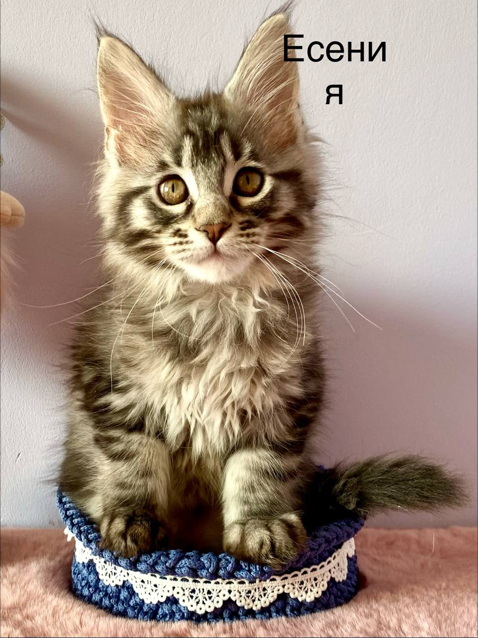 IMG_20260215_122813_571-1