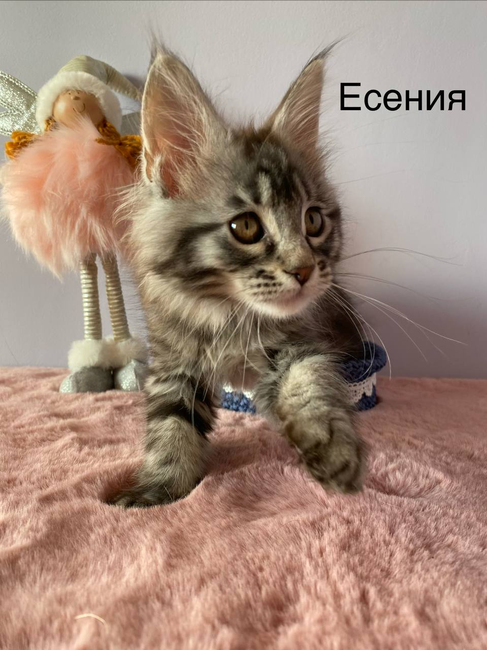 IMG_20260215_122813_600-1