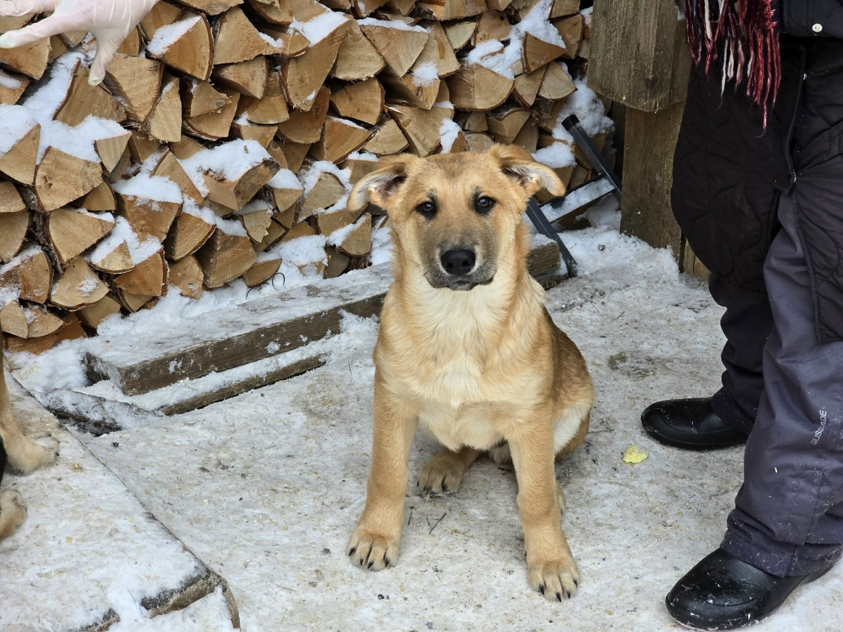 Kn5E0AWI7AA78T8Co-pIkWnkKczidfDAn8SjsOOLNC7nGNCZDlukfTJgIzjXfX8lw7HR6IUfZmZImFgjXiFRC-Z9-1