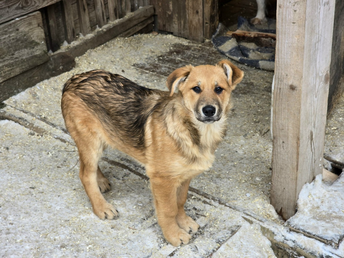 NorX7qFv6kFSWBJoIdthJ1gK2tKjyc7o61oPta_KLaiX8LHrL6uMC5II9bOIrQCadxymlnsqn3rgJDqkAsQ7McPO-1