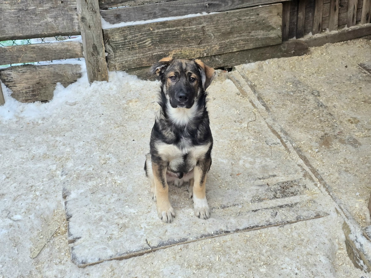 OEiyO3wV5qG3zUGyJgiCHuktEBPTbNEzU7rTy-_ZVrCzJtdF_uI431iKEpWKOunk8G0tSI2vh1dBXlfGe9BE9iYN-1