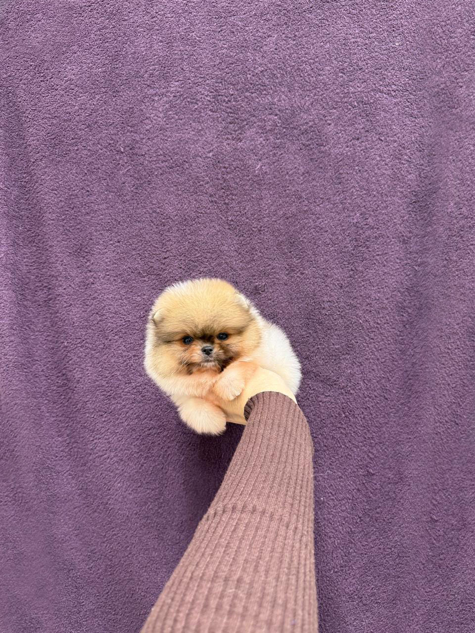 PHOTO-2026-02-24-15-59-06