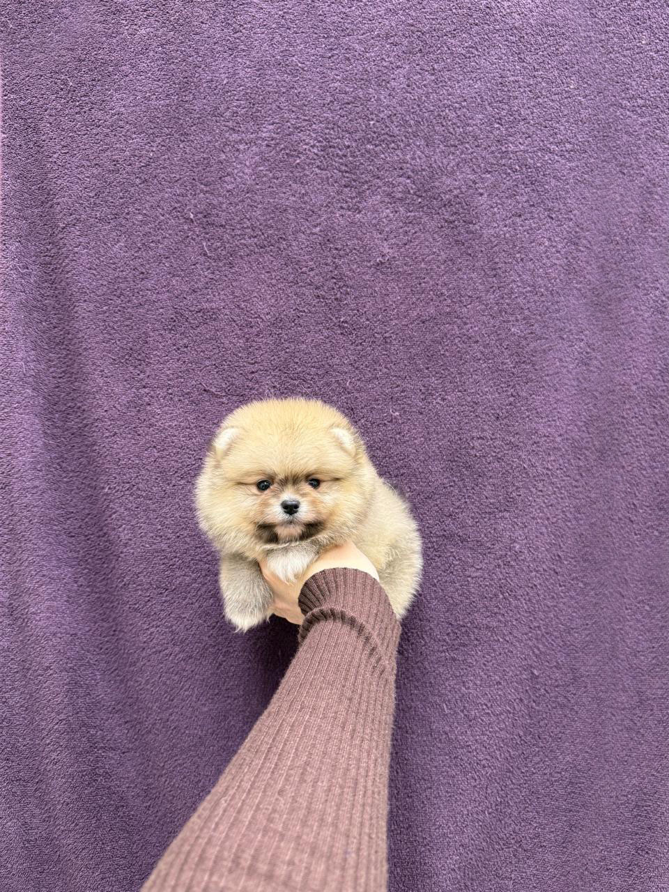 PHOTO-2026-02-25-00-53-43