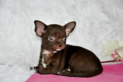 TdoPVQTtBHi95pqhEFl6xRlrQYiPzfO9yhEt1S03_mtGz0jgot_JtAUVpDPmmD_zmB6ProgPe8IL6PhzYy8L2Rm1