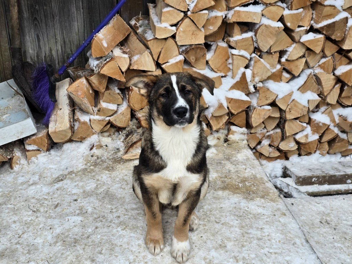 YE1_8qecOyjAND5cqol-CvHzEr0mSEXDEUbcS3qT3R5-FhePOhVVR3YpeZ4cCQxP8gklEjL6_MrwyByUhZfbLS1i-1