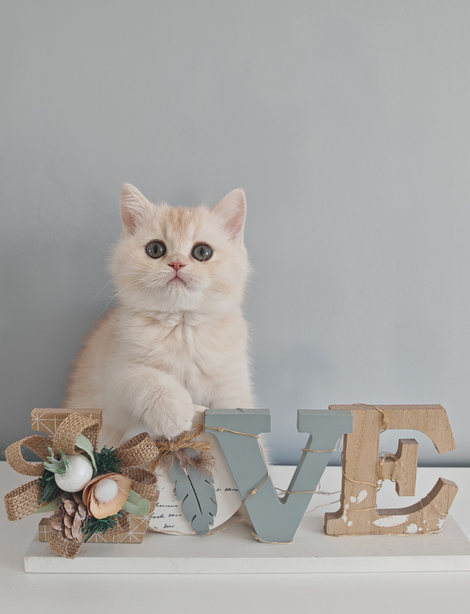 YQhpr_ykrBqeNzyxzYWMjFL8GnxR1wwLt9zN-b0yPo-mKGW3jdEj3vvC-O46rNYiAVqQNqYdZEz-gkkHozKg5CrW